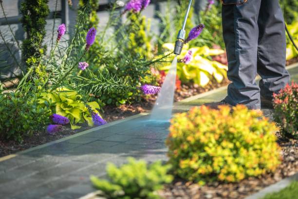Reliable Fremont, CA Pressure Washing Solutions